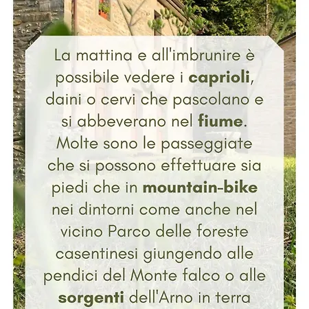 L'antico Mulino Sul Fiume, Forli-cesena Apartment *